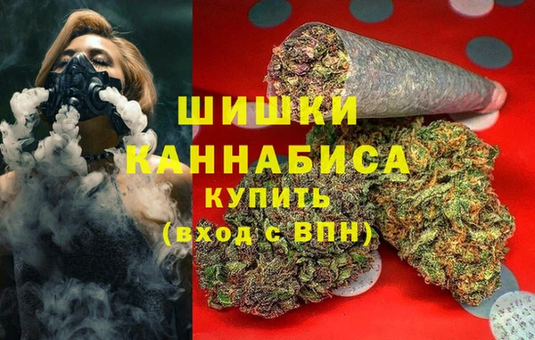 индика Вяземский